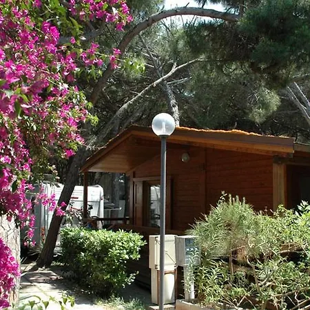 Club Magic Garden