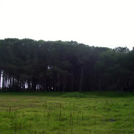 Campsite Club Magic Garden
