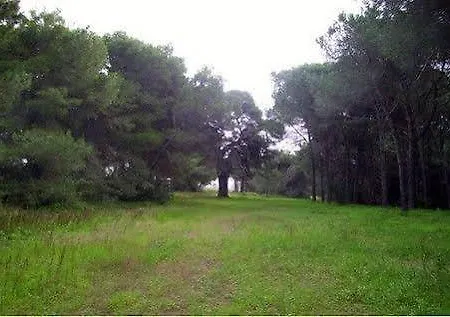 Campsite Club Magic Garden *