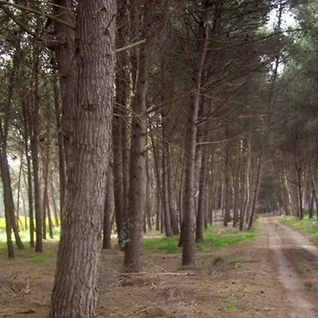 Club Magic Garden Campsite *